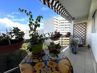  Appartement � vendre 2 pi�ces 54 m�