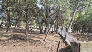  Terrain � vendre 842 m�