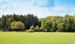  Appartement � vendre 589 m�