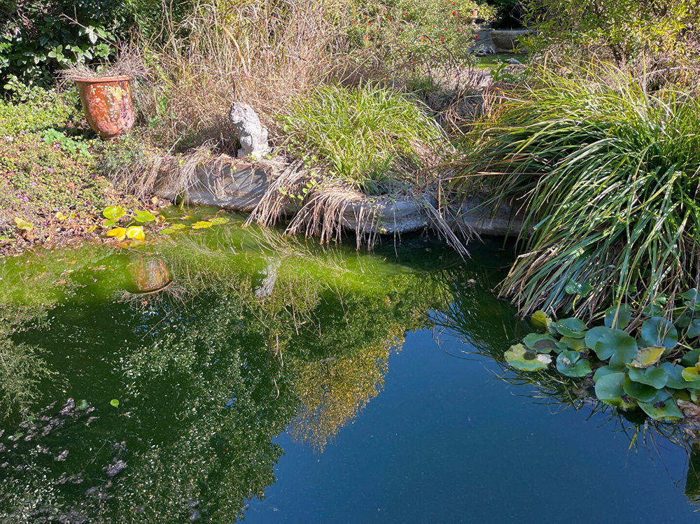 � vendre  Maison Vence (06140)