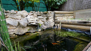  Maison � vendre 4 pi�ces 53 m�