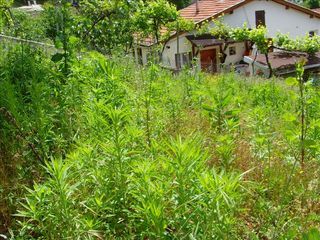  Terrain � vendre 288 m�