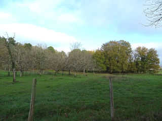  Terrain � vendre 3972 m�