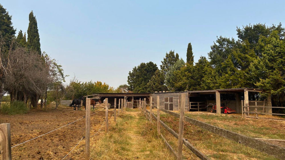 � vendre  Maison Castelnaudary (11400)