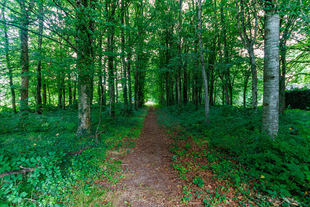 � vendre  Villa Saint-Hilaire-du-Harcou�t (50600)