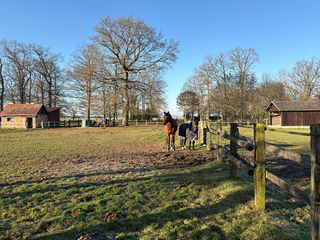  Maison � vendre 5 pi�ces 150 m�