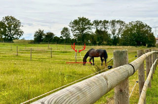  Maison � vendre 15 + pi�ces 465 m�