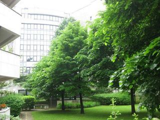  Appartement � louer 3 pi�ces 71 m�