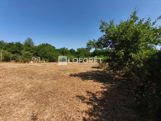  Terrain � vendre 2029 m�