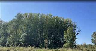  Parking / Garage � vendre 