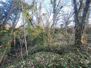  Terrain � vendre 1 pi�ce 2447 m�