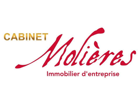Commerce Restaurant - Toulouse LABEGE INNOPOLE - 130 m² 340000 31670 Labege