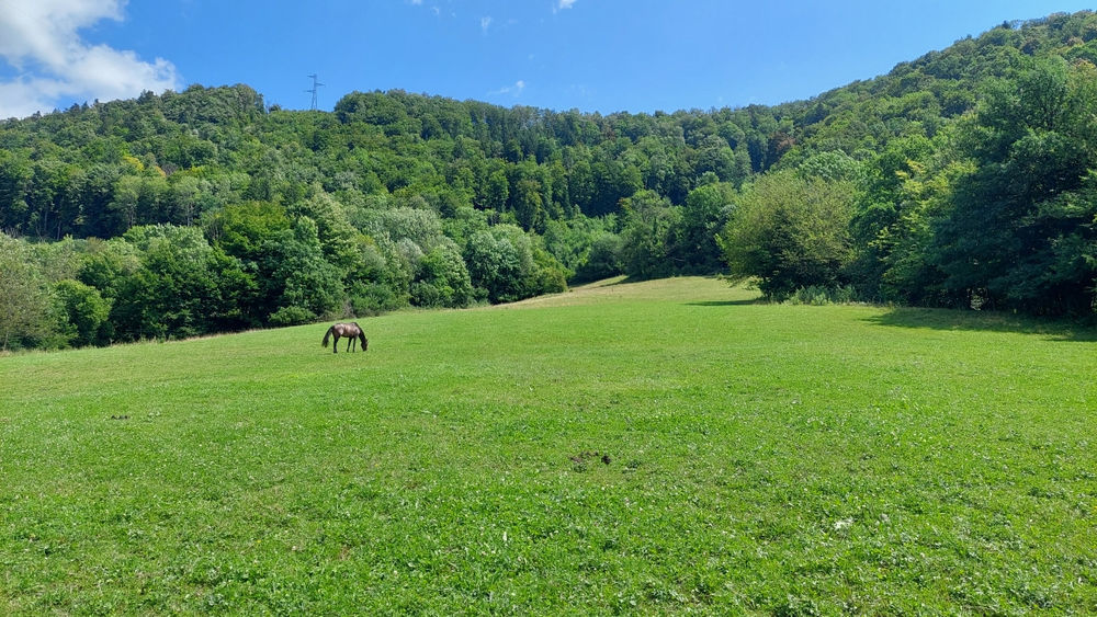 � vendre  Maison Montb�liard (25200)