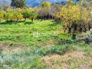  Maison � vendre 5 pi�ces 156 m�