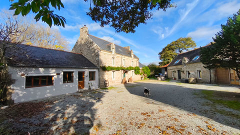   MORBIHAN, Melrand, Superbe maison avec annexe, maison secondaire, garage, hangar, terrain Maison - 14 pi�ce(s) - 354 m�
