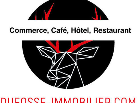 Fond de commerce Brasserie Restaurant de 100 m2  + Terrasse 100 Places 425000 69003 Lyon