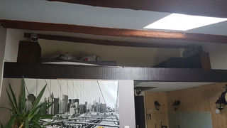  Appartement � louer 1 pi�ce 24 m�