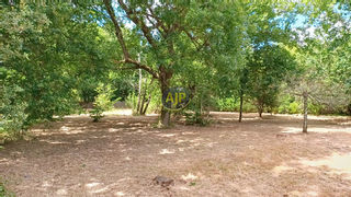  Maison � vendre 3 pi�ces 70 m�