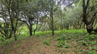  Terrain � vendre 2516 m�