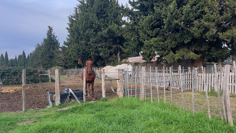 � vendre  Maison Saint-R�my-de-Provence (13210)