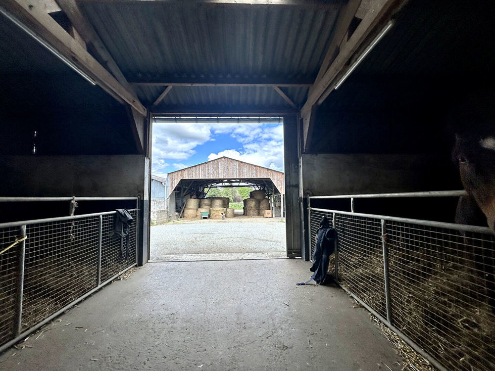 � vendre  Villa Ch�teau-Gontier (53200)