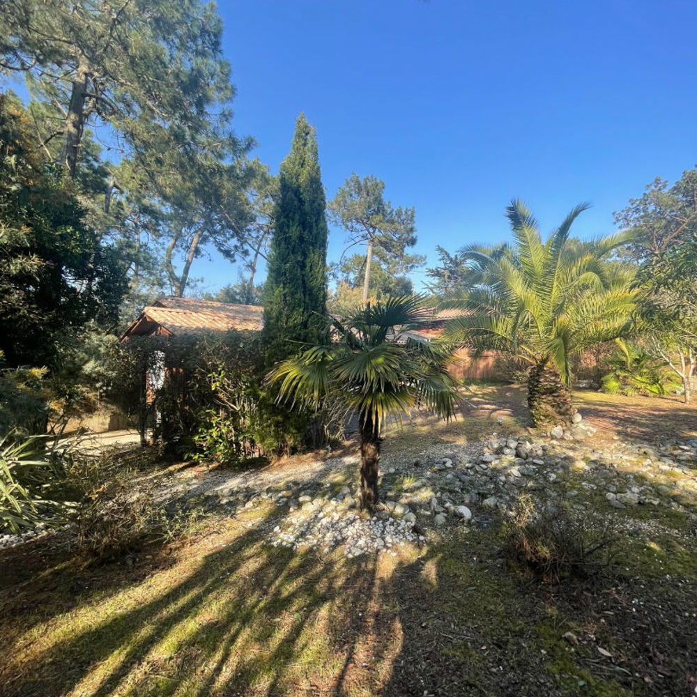 � vendre  Maison L�ge-Cap-Ferret (33950)