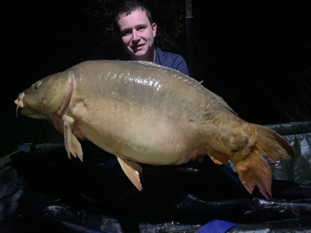 � vendre  Maison L'Isle-Jourdain (86150)