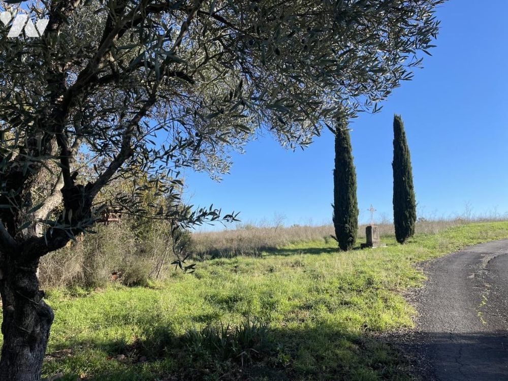 � vendre  Maison Clermont-l'H�rault (34800)