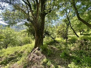  Maison � vendre 1 pi�ce 72 m�