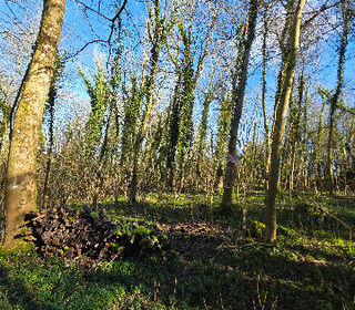  Terrain � vendre 27885 m�