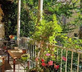  Appartement � vendre 4 pi�ces 116 m�