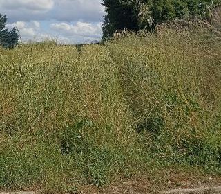  Terrain � vendre 
