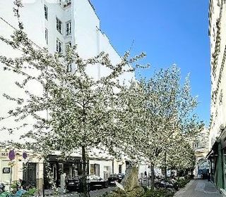  Appartement � vendre 1 pi�ce 17 m�