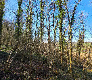  Terrain � vendre 27885 m�