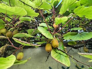  Maison � vendre 6 pi�ces 106 m�