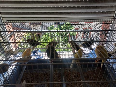 canaris 150 42700 Firminy