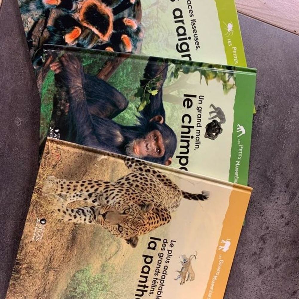 Atlas junior Livres et BD