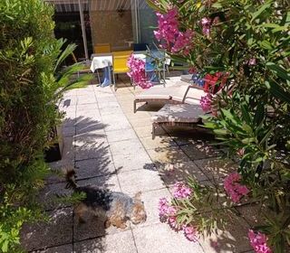 Location  Appartement 