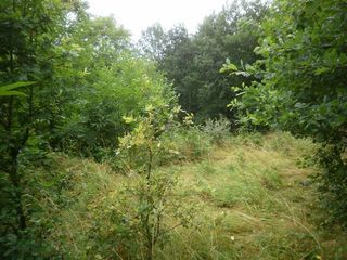  Terrain � vendre 1000 m�