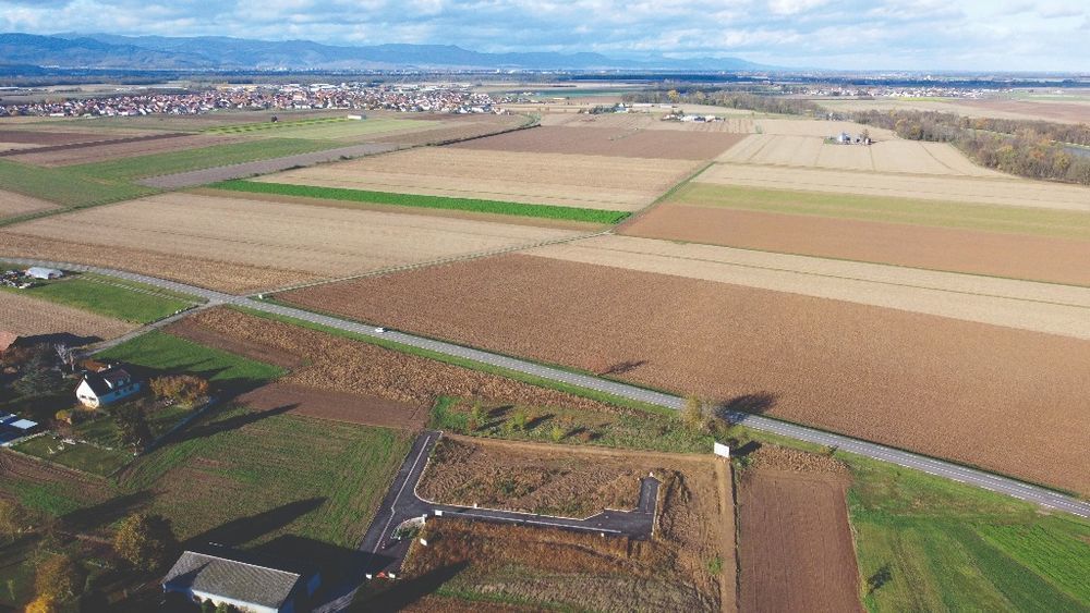 Terrains à batir   Niederhergheim (68127)