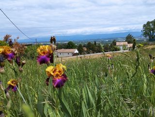  Terrain � vendre 1400 m�