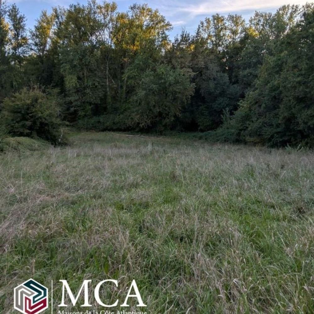   Colayrac-Saint-Cirq (47450)