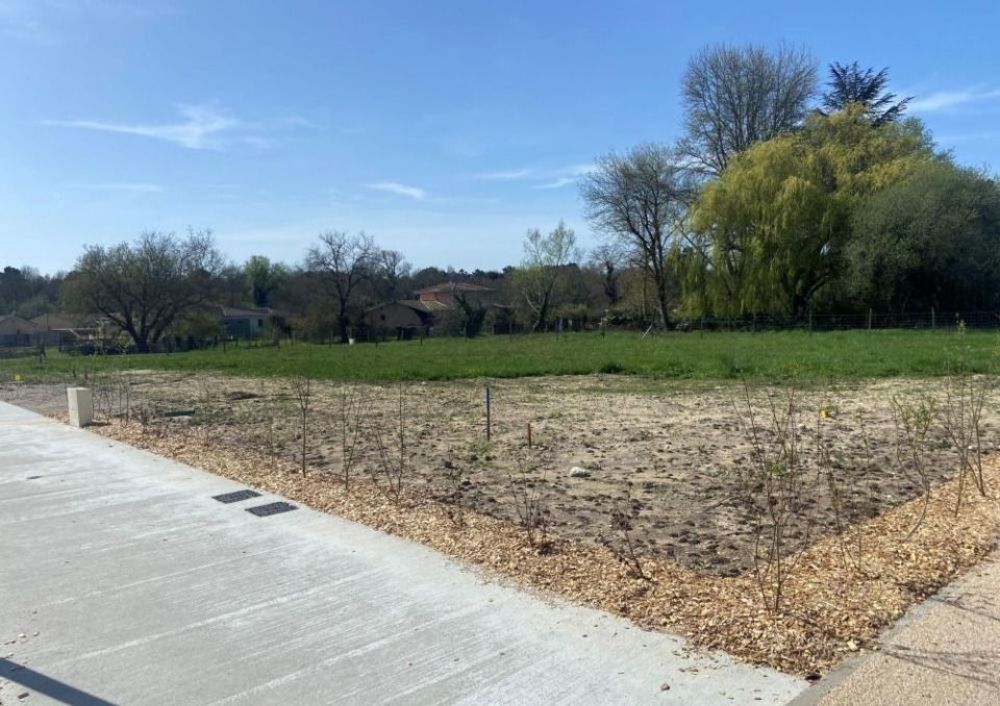   Saint-Andr�-de-Cubzac (33240)