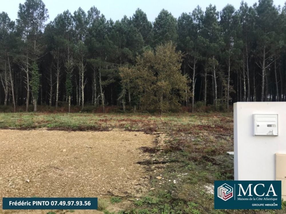 Maisons neuves   Saint-Martin-d'Oney (40090)