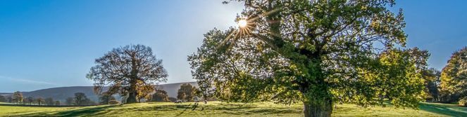 Agence ALIA IMMOBILIER 26 Valence