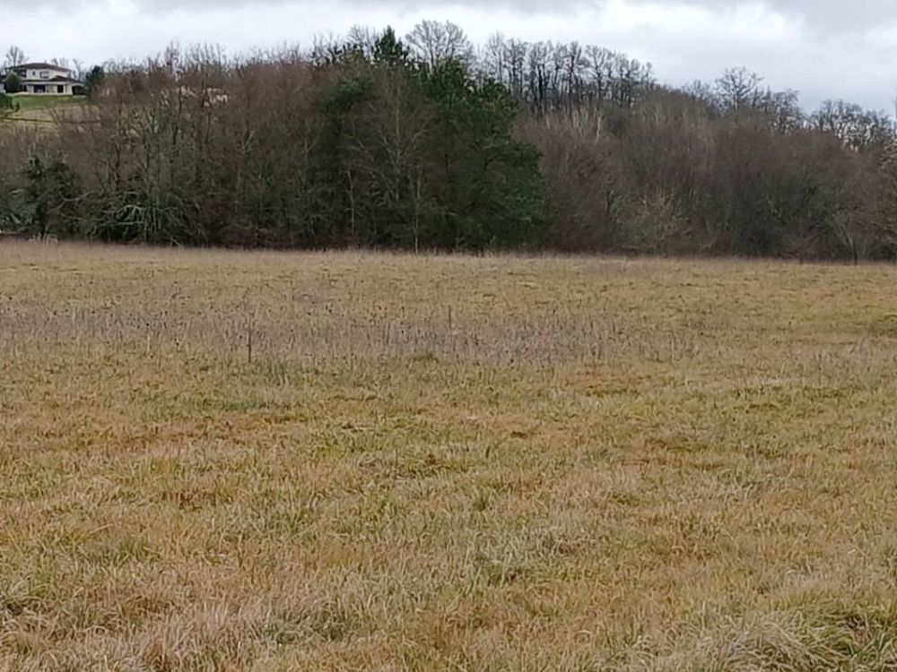 Maisons neuves   Verteillac (24320)