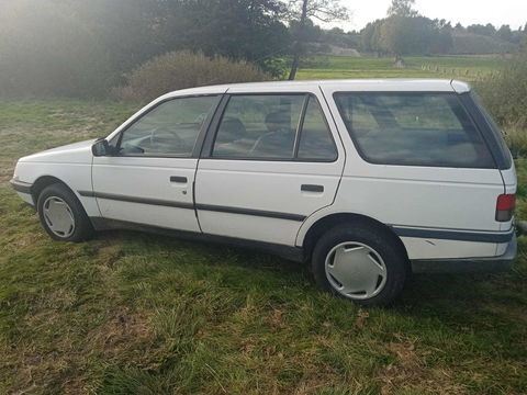 Peugeot 405 1.9 D Sillage 1996 occasion Aumont-Aubrac 48130
