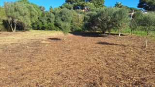  Terrain � vendre 1220 m�