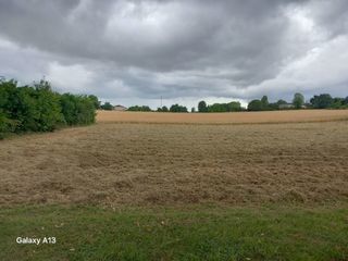  Terrain à vendre 