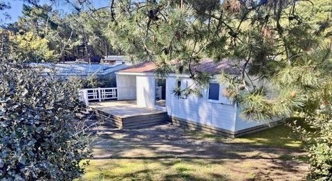 Mobil-Home Mobil-Home 2013 occasion Saint-Hilaire-de-Riez 85270